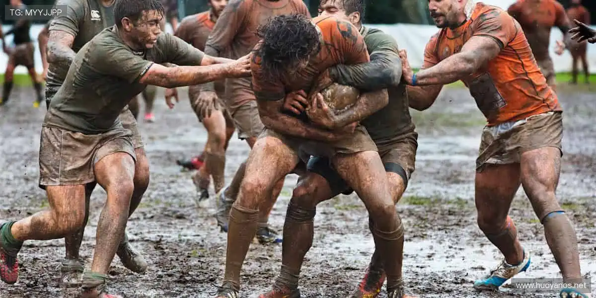 🏆 点燃你的热血时刻！顶级赛事，激情永不落幕！